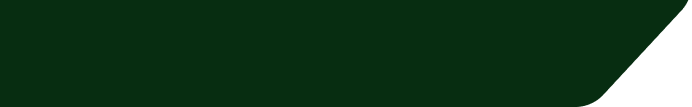 branch